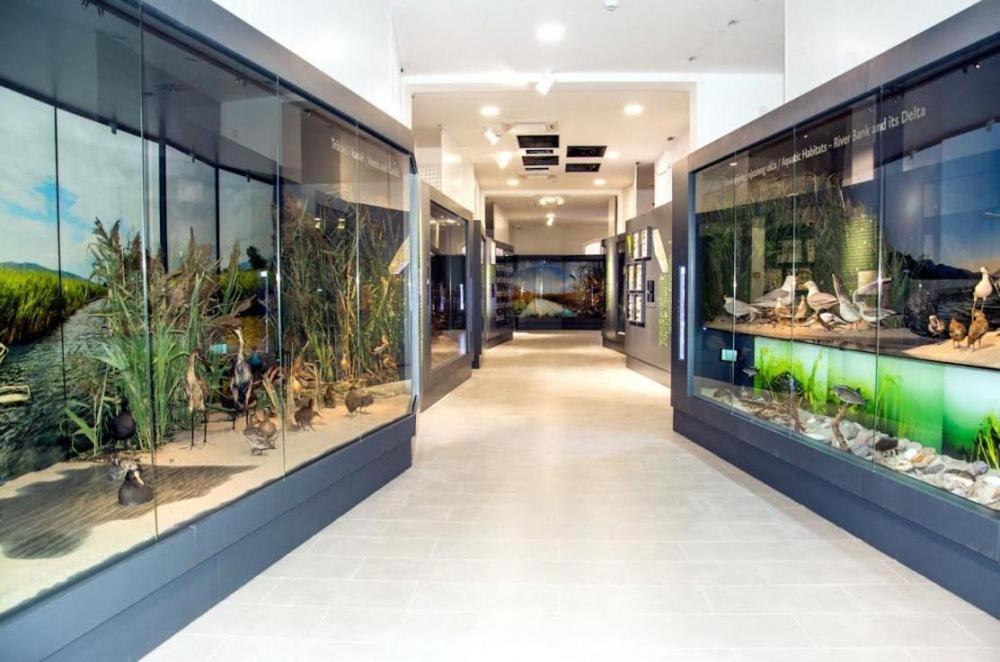 Apartmani More كومارنا المظهر الخارجي الصورة